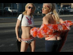 Can I Get Some Fries With That Shake